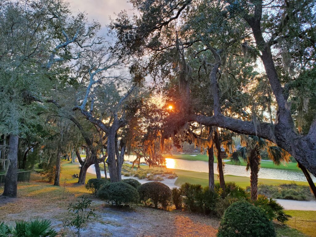 Amelia Island Plantation Red Maple Lake